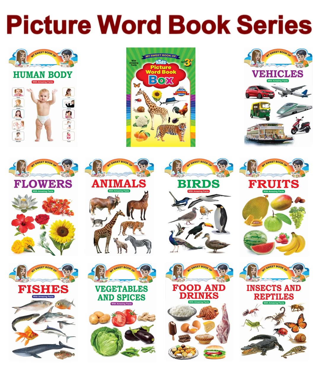 Picture Word Book Series